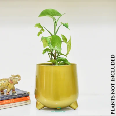 Meebode Luxurious Aurora Gold Toned Metal Sturdy Planter With Stand