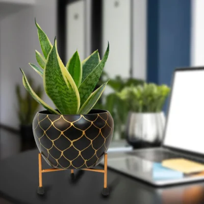 Meebode Black Net Metal Pot with Stand for Stylish Indoor and Outdoor Décor