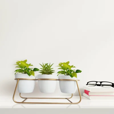 Meebode Stylish Trio Tabletop Metal Planters Set with Designer Pots
