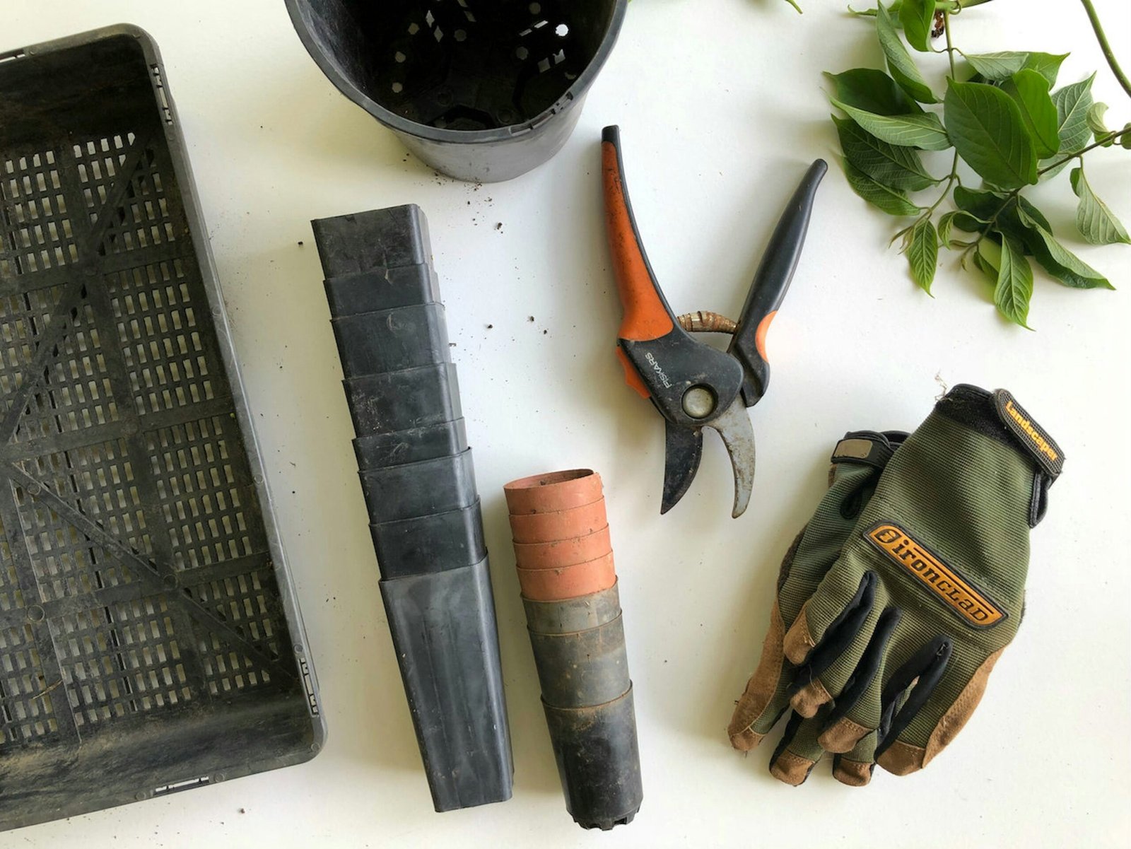 Gardening Tools with names