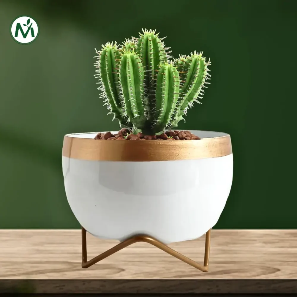 Indoor Metal Planter with Golden Stand | Table Top Pots for Living Room, Kitchen, Bedroom, Gifting  | Designer Flower Vase | Office Decor (White Gold) - Image 4