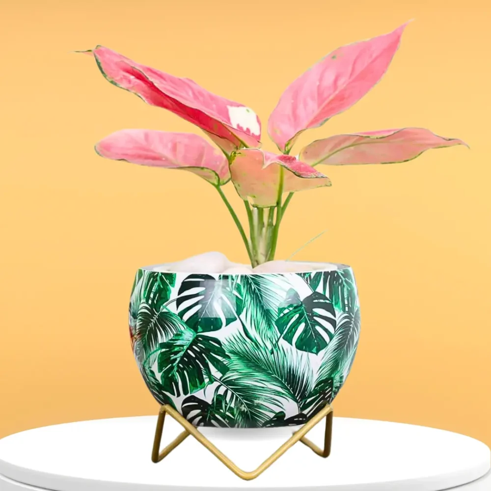 Indoor Metal Planter with Golden Stand | Table Top Pots for Living Room, Kitchen, Bedroom, Gifting  | Designer Flower Vase | Office Decor (Tropical Scent)