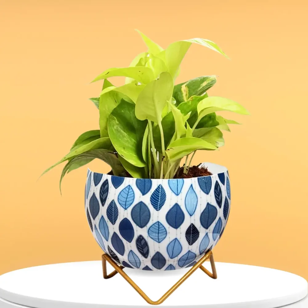 Indoor Metal Planter with Golden Stand | Table Top Pots for Living Room, Kitchen, Bedroom, Gifting  | Designer Flower Vase | Office Decor (Leafy Blue)