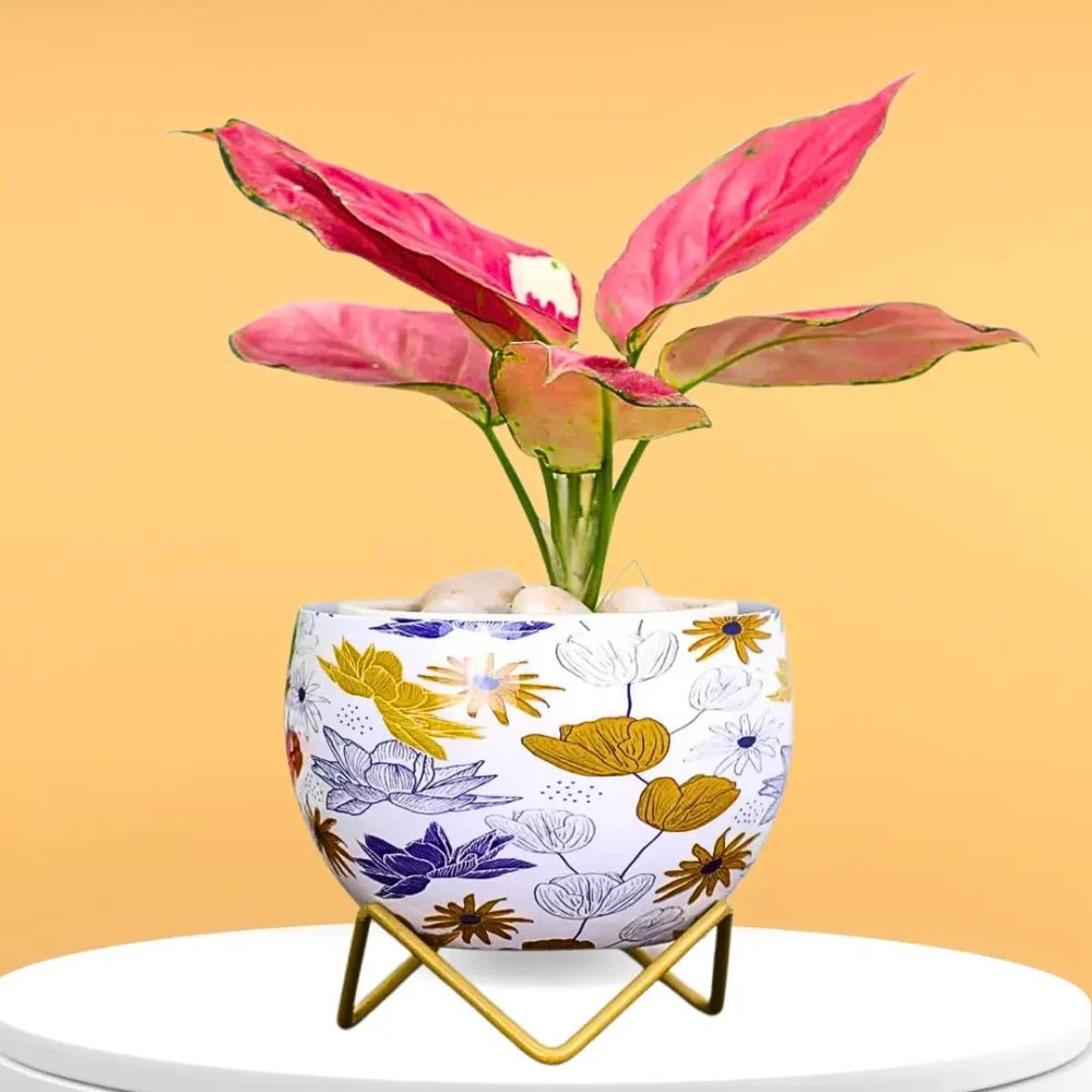 Indoor Metal Planter with Golden Stand | Table Top Pots for Living Room, Kitchen, Bedroom, Gifting  | Designer Flower Vase | Office Decor (Lotus Divine)