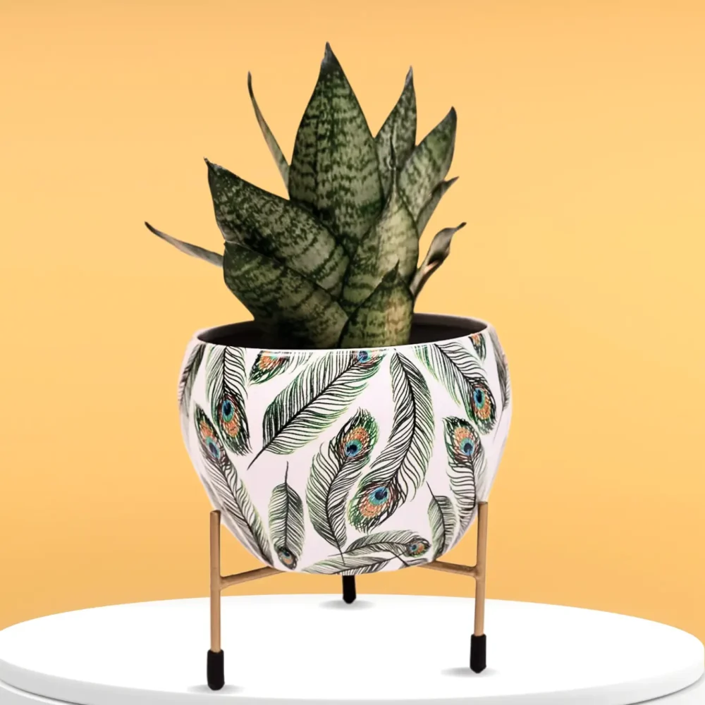 Peacock Feather Print Metal Pot with Stand - 5.1" W x 5.9" H | Unbreakable, Lightweight Garden Planter