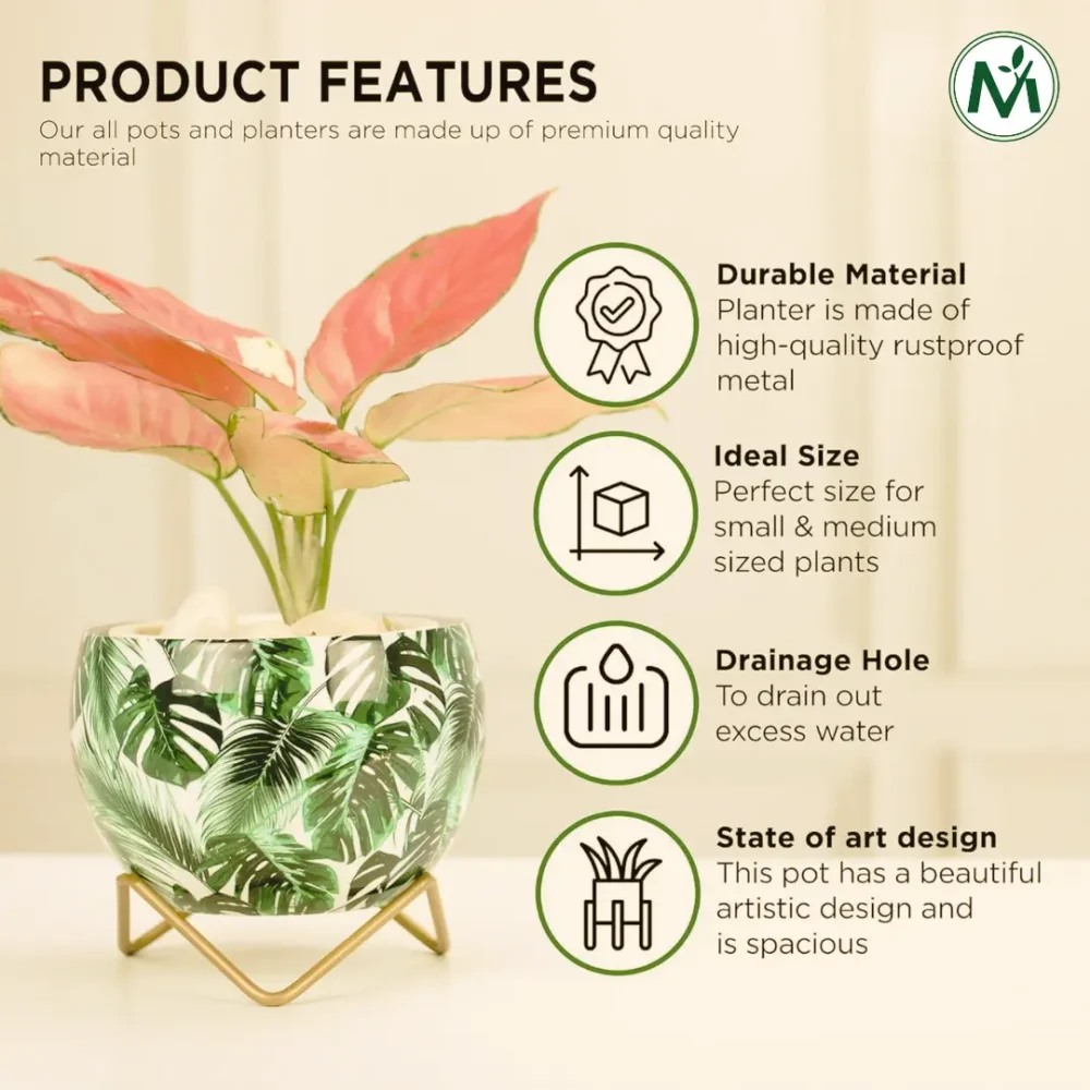 Indoor Metal Planter with Golden Stand | Table Top Pots for Living Room, Kitchen, Bedroom, Gifting  | Designer Flower Vase | Office Decor (Tropical Scent) - Image 4